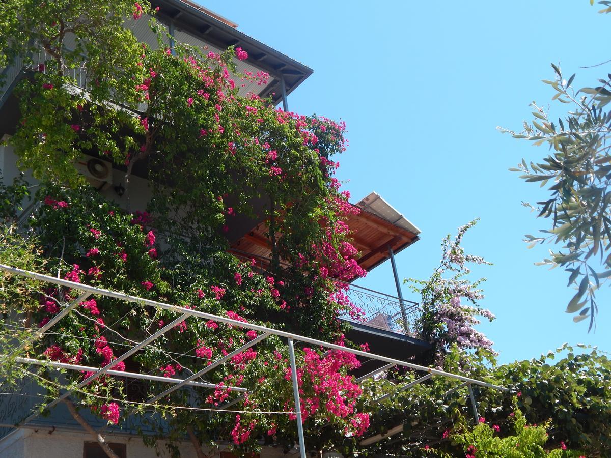 Sofia Apartments Sívota Dış mekan fotoğraf